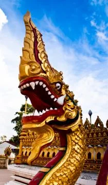 Serpant standing Stock Photos