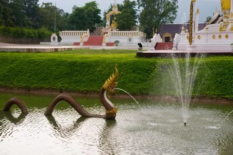 Serpent Stock Photos