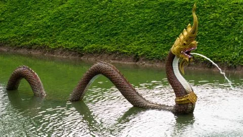 Serpent Stock Photos