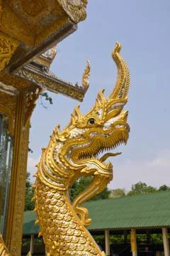 Serpent Stock Photos