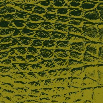 Serpent Skin Texture Illustrazione stock