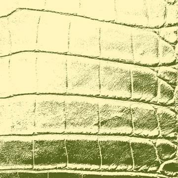 Serpent Skin Texture Illustrazione stock