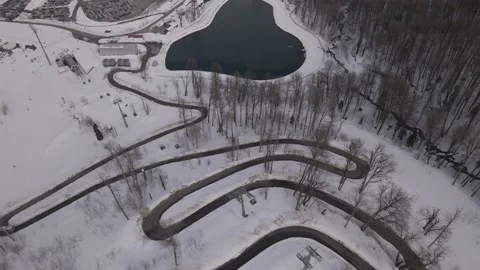 Serpentine Stock Footage 220172757