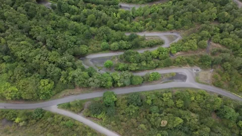 Serpentine Forest Paths Top Down Aerial Over Green Woodland Vídeos de archivo 341671203