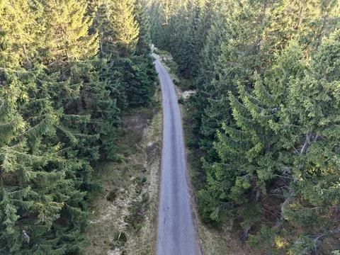 Serpentine forest route with dappled sunlight and rugged gravel path for ad.. Stock Photos
