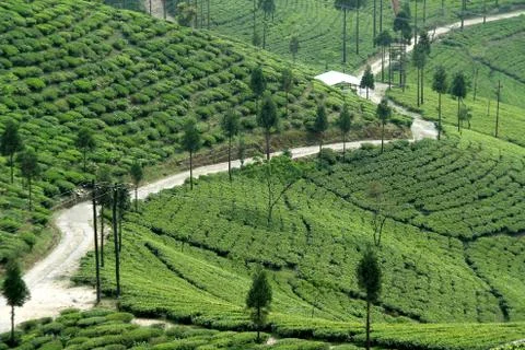 Serpentine Path Stock Photos