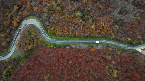Serpentine road through forest with a white van Stock Footage 270064899