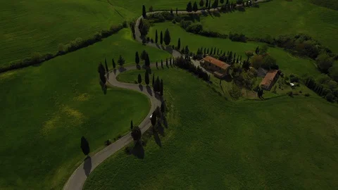 A Serpentine Road in Tuscany. Cypress trees along the Winding road. Stock Footage