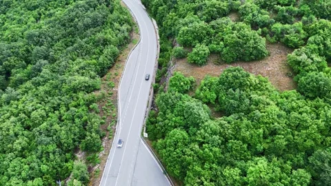 Serpentine Road Winds Through Lush Green Forest Under Clear Blue Sky Video stock 281287958