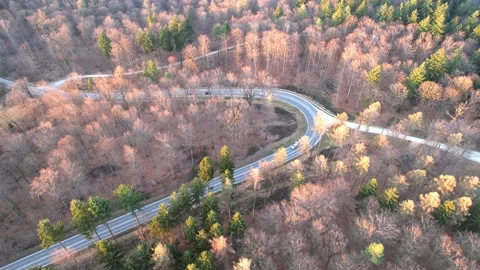 Serpentine through mixed forest in spring. Cars driving on mountain road in s Video stock 172660975
