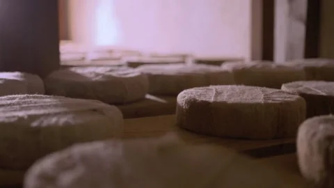 Serra da Canastra Cheese that is being cured in a cellar Stock Footage 258684133