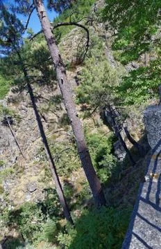 Serra da Estrela Stock-Fotos