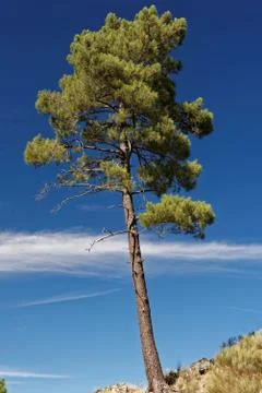 Serra da Estrela Stock Photos