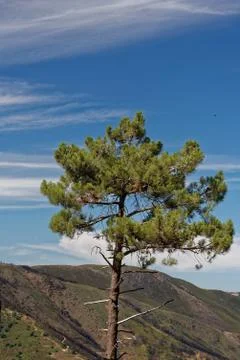 Serra da Estrela Stock Photos