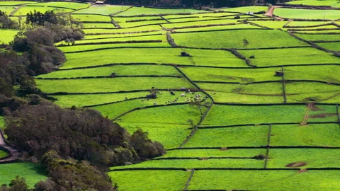 Serra do Cume Viewpoint (Miradouro da Serra do Cume) On Terceira Island, In The 動画素材 334763741