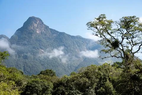 Serra do Mar mountains in the state of Paraná Stock Photos
