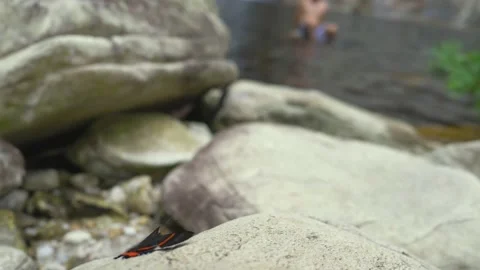 Serra do Tabuleiro State Park in Minas Gerais Stock Footage 166921294