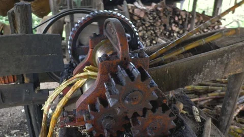 Serra do Tabuleiro State Park in Minas Gerais Stock Footage 166921561