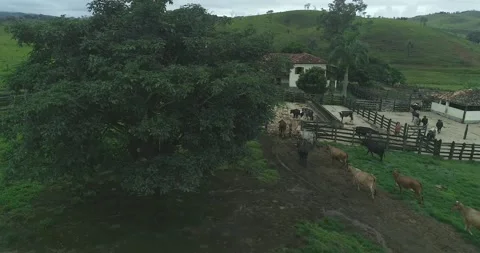 Serra do Tabuleiro State Park in Minas Gerais Stock Footage 166921945