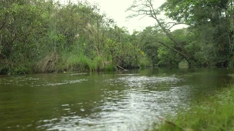 Serra do Tabuleiro State Park in Minas Gerais Stock Footage 166923712