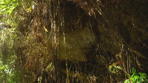 Serra do Tabuleiro State Park in Minas Gerais Stock-Footage 166924347