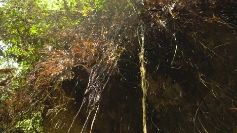 Serra do Tabuleiro State Park in Minas Gerais 스톡 동영상 166924381