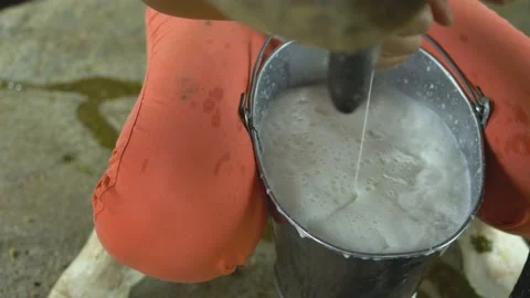 Serra do Tabuleiro State Park in Minas Gerais Stock-Footage 166925187