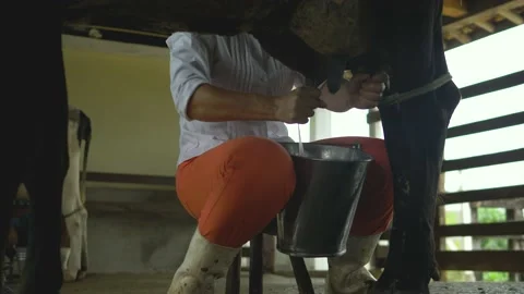 Serra do Tabuleiro State Park in Minas Gerais Stock Footage 166925223