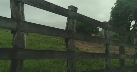 Serra do Tabuleiro State Park in Minas Gerais Stock Footage 166925313
