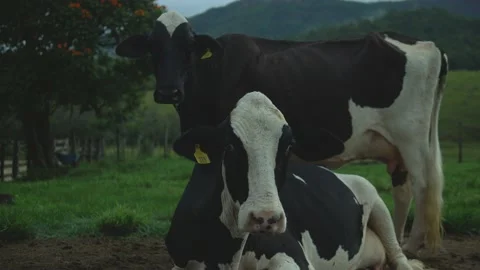 Serra do Tabuleiro State Park in Minas Gerais Stock Footage 166925334