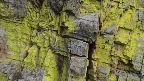 Serra do Torre 스톡 동영상 321432034