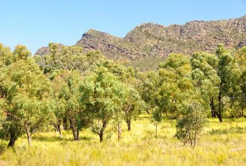Serra Range - Dunkeld Stock Photos