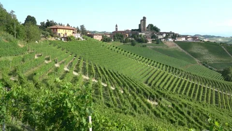 Serralunga d'Alba and its vineyards in the Langhe region of Piedmont, Italy. Vidéo 160991740