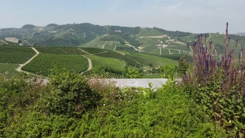Serralunga d'Alba and its vineyards in the Langhe region of Piedmont, Italy. 스톡 동영상 160991931