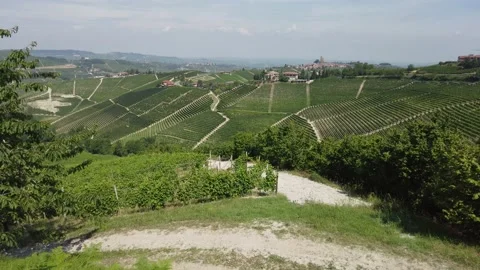Serralunga d'Alba and its vineyards in the Langhe region of Piedmont, Italy. Vidéo 160991978