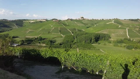 Serralunga d'Alba and its vineyards in the Langhe region of Piedmont, Italy. Vidéo 160992110