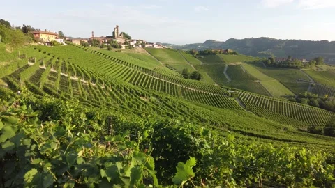 Serralunga d'Alba and its vineyards in the Langhe region of Piedmont, Italy. 스톡 동영상 160994040