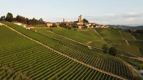 Serralunga d'Alba in Langhe, Piedmont Video stock 202200776