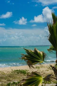 Serrambi Beach Stock Photos