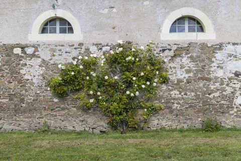 Serrant castle (Chateau de Serrant), Saint-Georges-sur-Loire,  Maine-et-Loire Stock Photos
