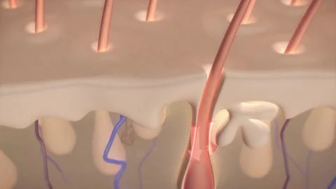 Serum and lotion Liquid dropping into hair skin cell layer and Repair. skin care Stock-Footage 334589449