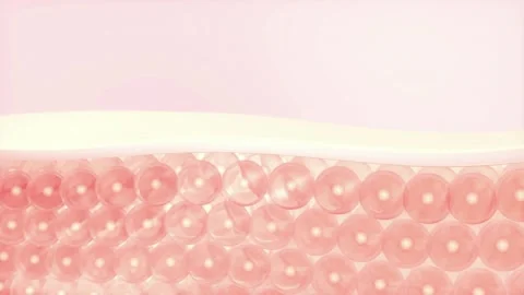 Serum and lotion Liquid dropping into skin cell layer and Repair. skin care 스톡 동영상 334589722