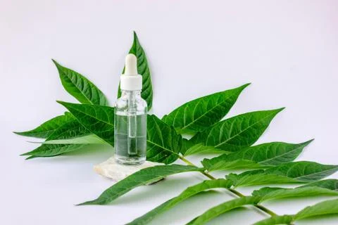 Serum bottle with a leaf Stock Photos