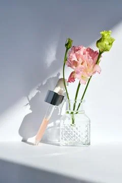 Serum with a dropper with spring flowers. Stock Photos
