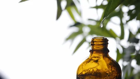 Serum skin care dropping from eaf to the bottle. Stock Footage 305379372