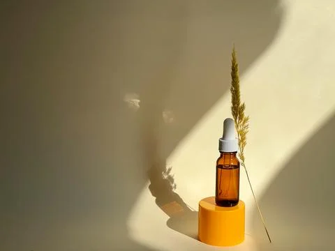 Serum in a transparent bottle and dried flower with sunlight on it. Skin care Stock Photos