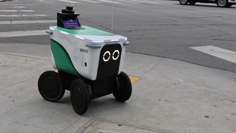 Serve Robotics Delivery Robot on the Street, Delivering Food to a Customer Stock Footage 321036470
