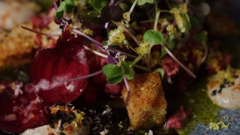 Served beef Tar Tar on dish macro shot, five star meal Stock Footage 128484713