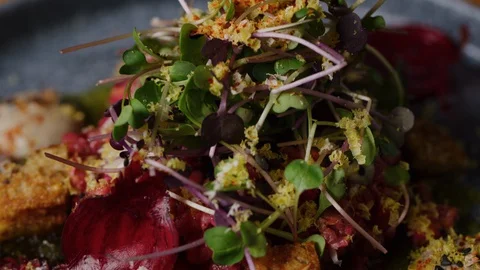 Served beef Tar Tar on dish macro shot, five star meal Stock Footage 128484728