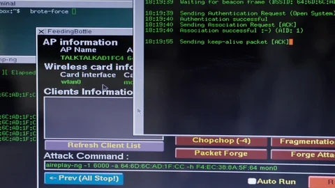 Server hacker tools set on laptop screen. Cybersecurity cybercrime concept 4K Stock Footage 124644790